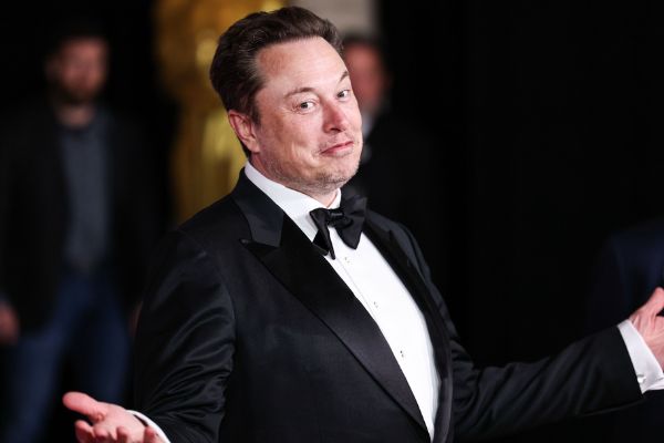 RINOs Launch A New Assault On Elon Musk