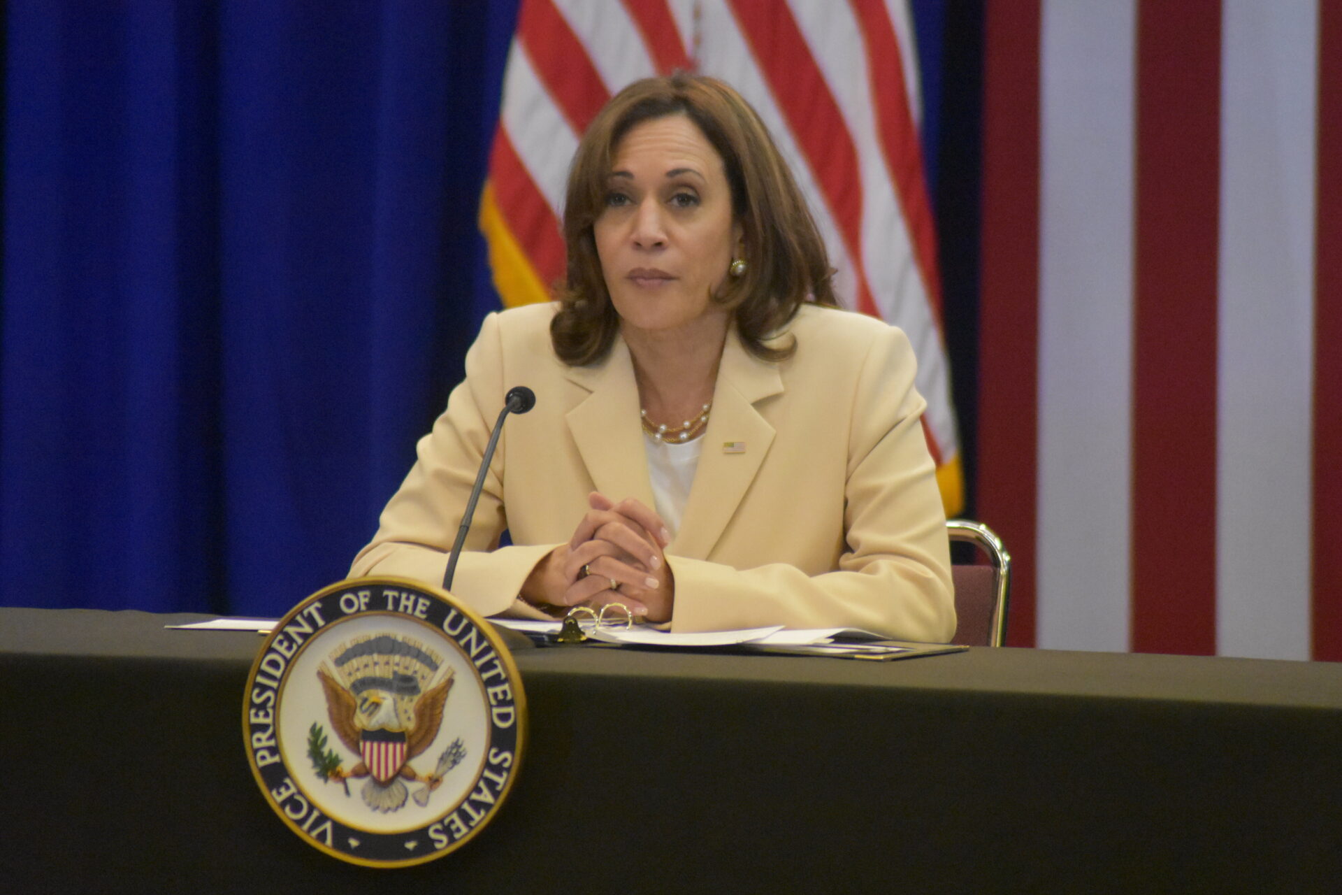 Kamala Slips – Admits Her Anti-Trump Fear Campaign Was All a Lie